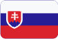 Ložiská SKF Slovensky